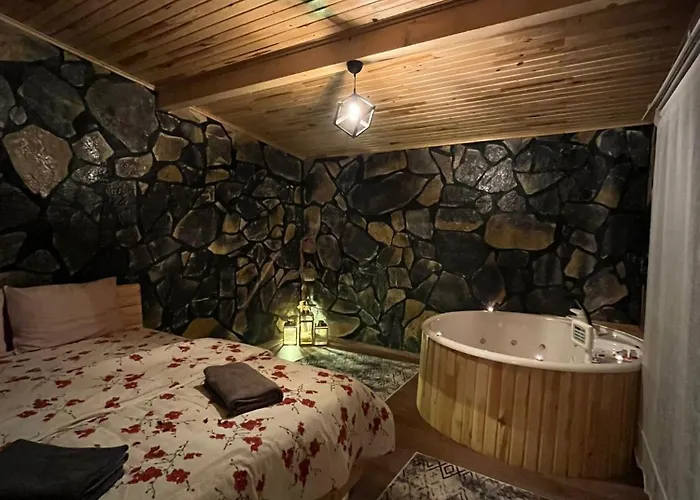 山林小屋 Sakaryabungalow *